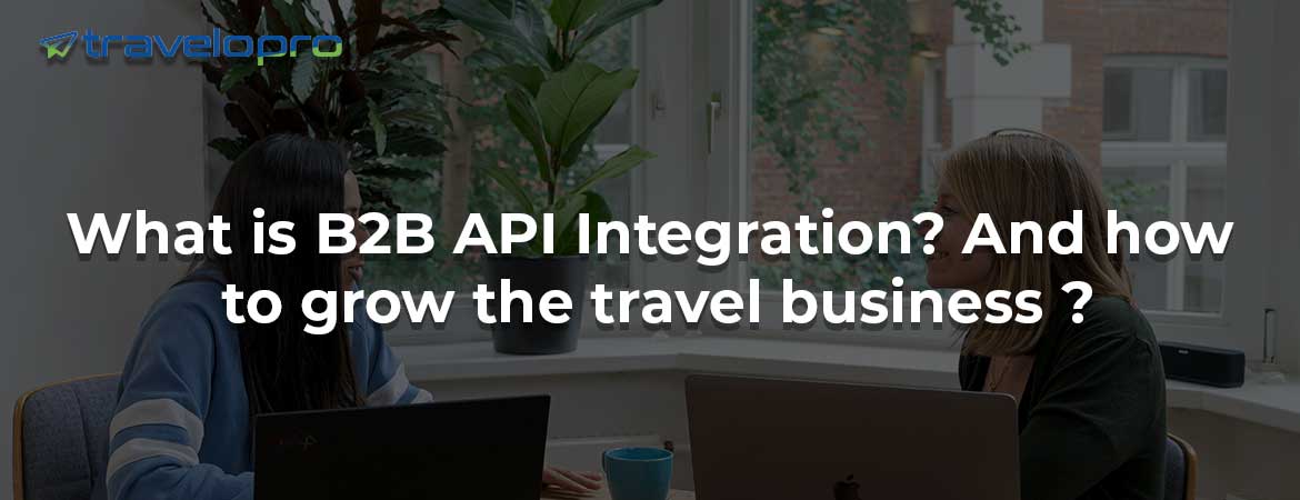 What is B2B API Integration? And how to grow the travel business ?