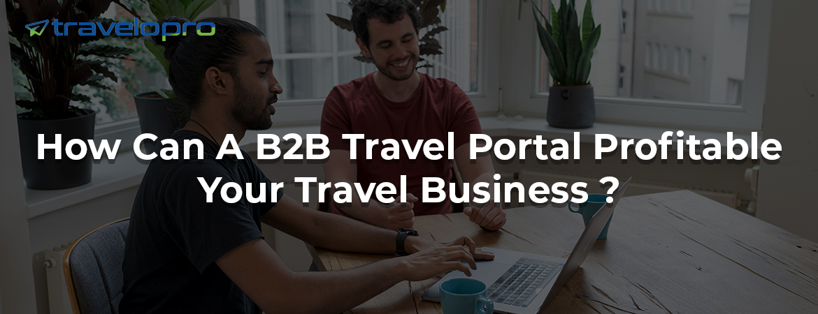 How Can A B2B Travel Portal Profitable Your Travel Business ?