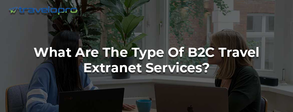What Are The Type Of B2C Travel Extranet Services? 