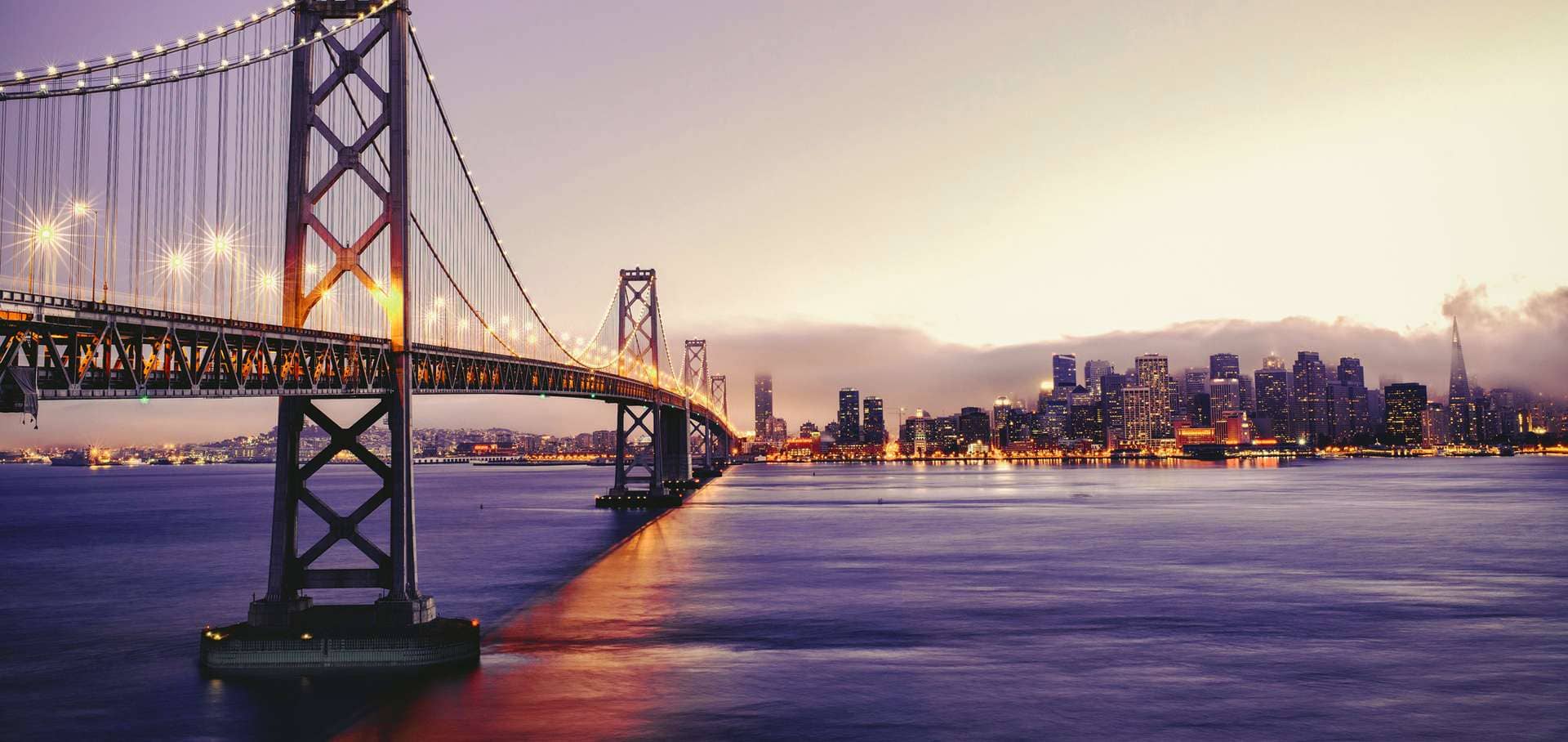 TraveloPro, Leading Travel Technology provider