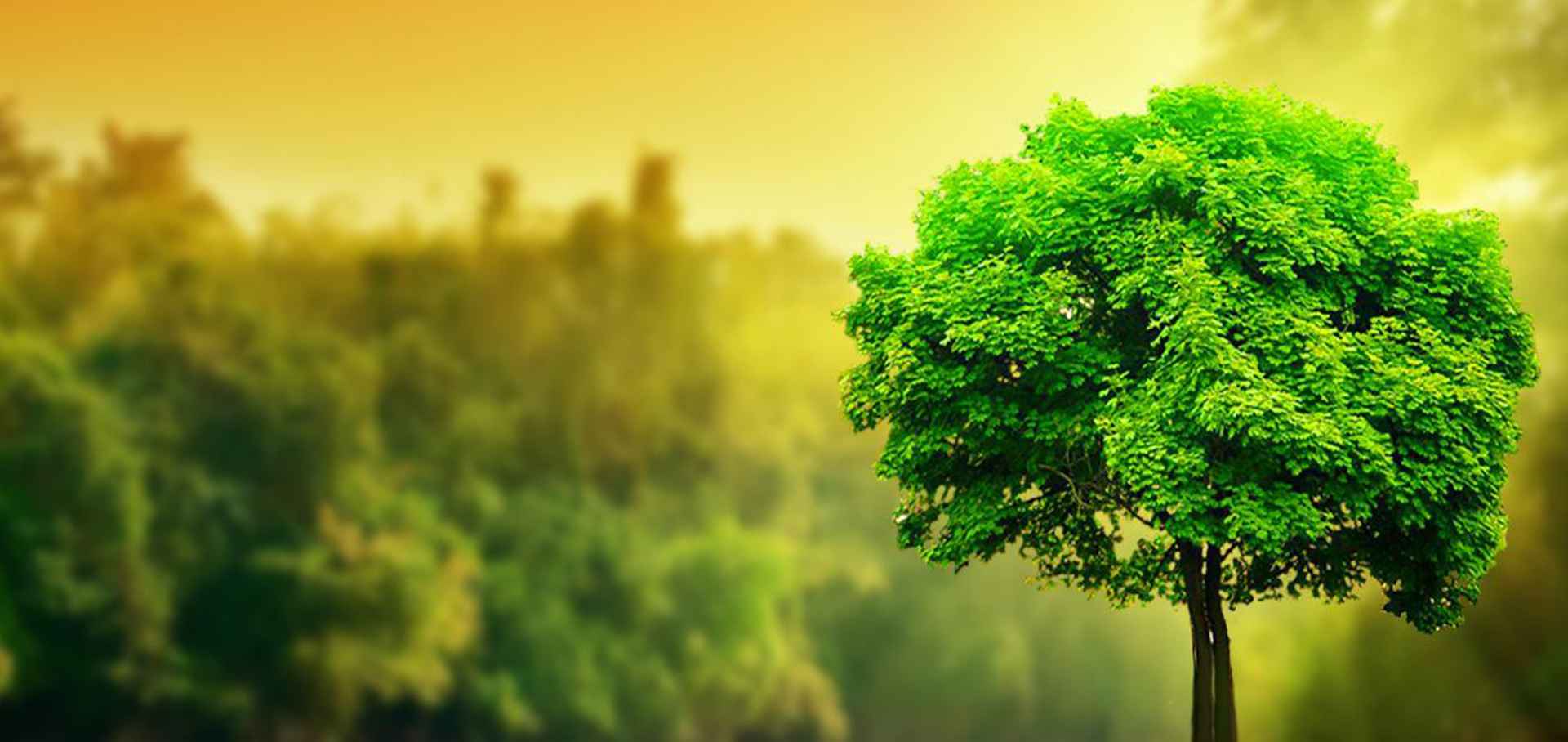 TraveloPro, Leading Travel Technology provider