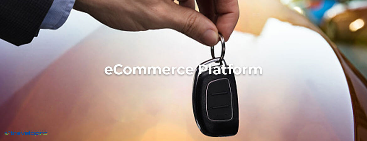 cms-development-services