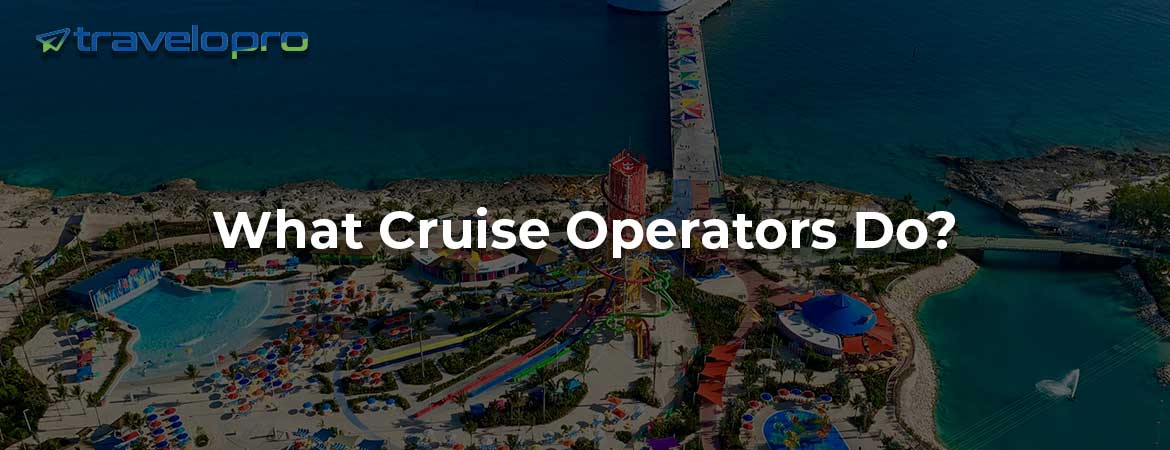 What Cruise Operators Do?