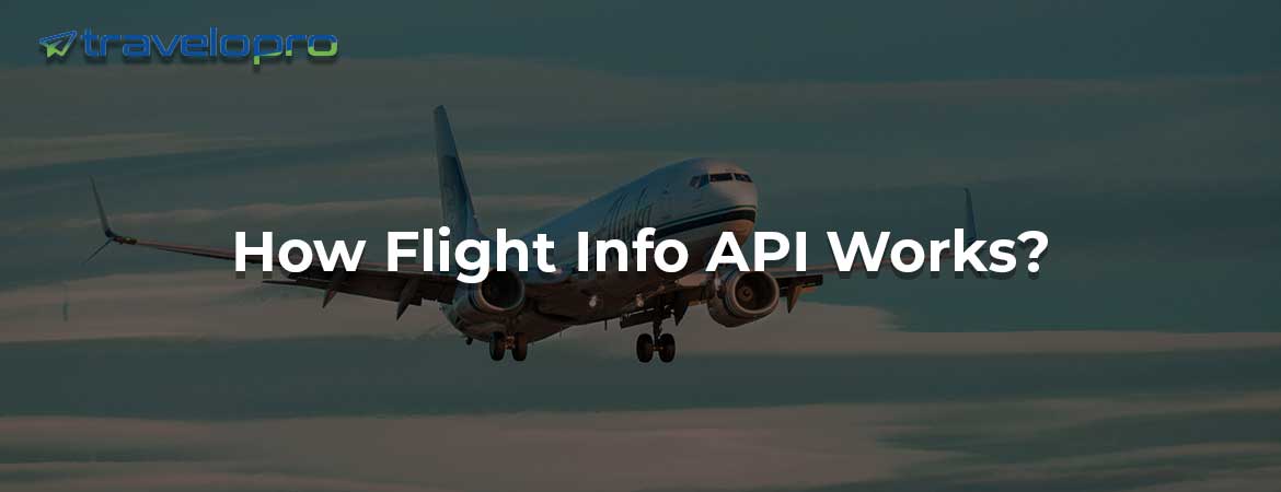 How Flight Info API Works?