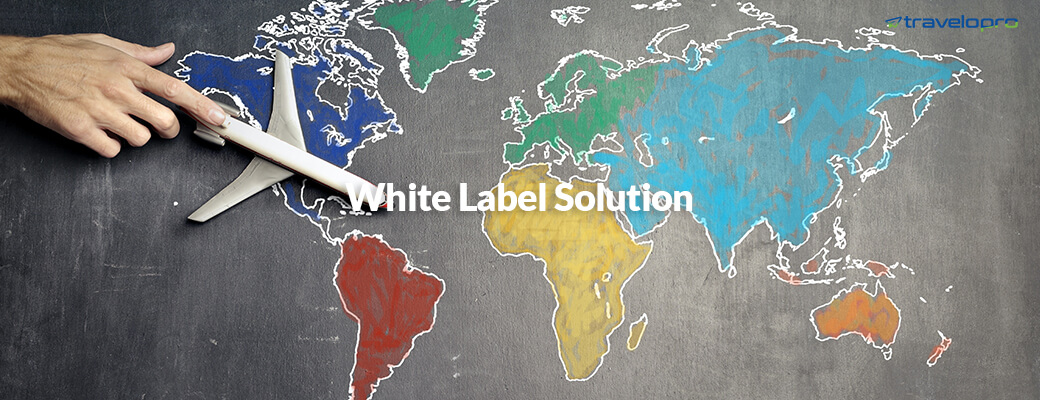 how-to-choose-a-gds-global-distribution-system-for-your-travel-business