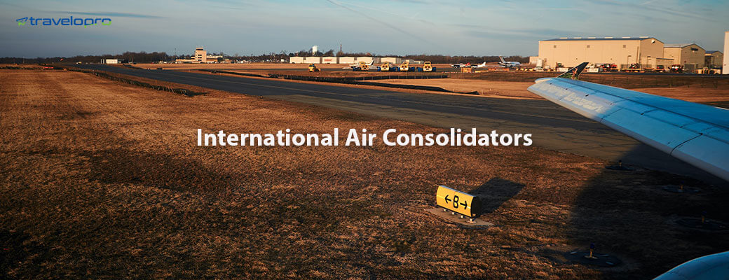 International Air Consolidators